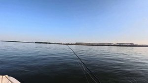 Рыбалка на ангаре 2024, ловля хариуса, встреча с медведе?