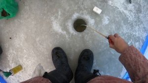 ЛОВЛЯ ПЛОТВЫ ЗИМОЙ на МОРМЫШКУ  ЗИМНЯЯ РЫБАЛКА со ЛЬДА