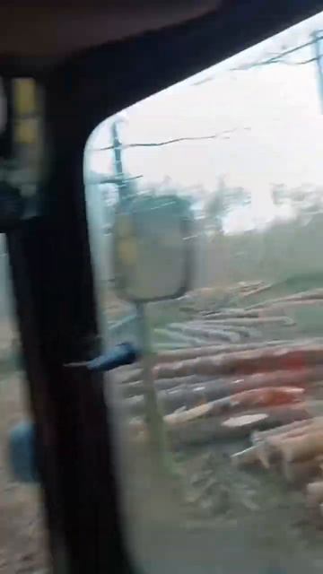 Попал в лесок 😁 смотреть онлайн