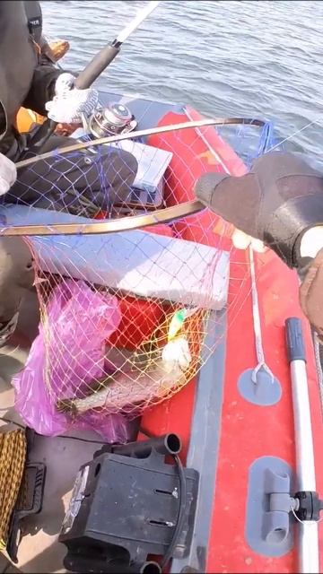 #щука #fishing #мир #fishing #fish #рыбалка #троллинг смотреть онлайн