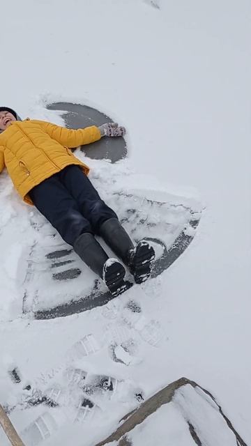 Неизвестные науке существа обнаружены в вологодской ? смотреть онлайн