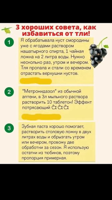 Дачные советы огородникам #дача #огород #советы