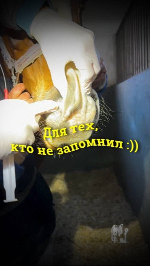 Для тех, кто не запомнил )))