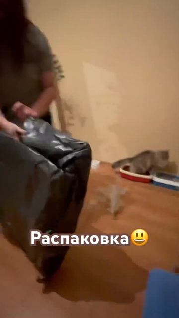 #рыбалка #фидер #распаковка #фидернаярыбалка #фидерная смотреть онлайн