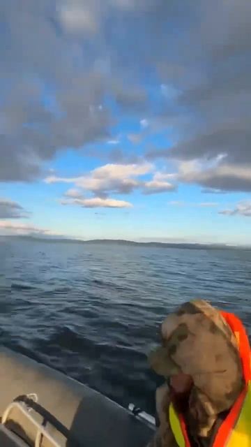 Охотское море #напрогулке #fishing #охота #nature #дикаяприро?