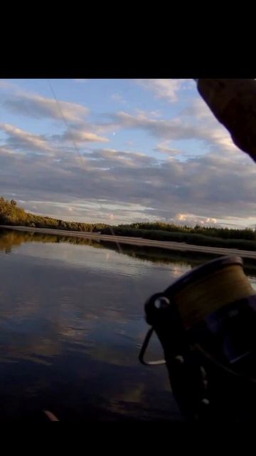 Судак на великолепный рабочий воблер с береговой кос? смотреть онлайн