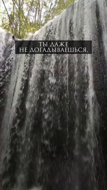 Никола Левус | Ищешь точки роста? #Shorts #коучонлайн #пред смотреть онлайн