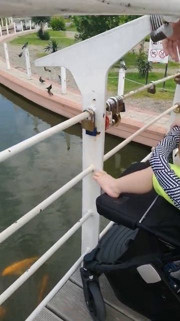 Смотрим рыбок в отеле "Сочи Парк" смотреть онлайн