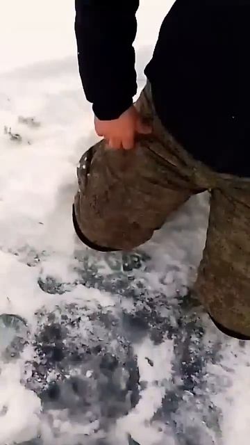 Первый лёд 2024-25!!! Щука на жерлицу! fishing рыбалка