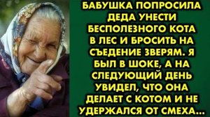 Бабушка попросила деда унести бесполезного кота в лес и бросить на съедение зверям. Я был в шоке...