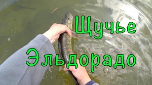 ПОКЛЁВКИ почти на каждом забросе. Попал на выход ЩУКИ.