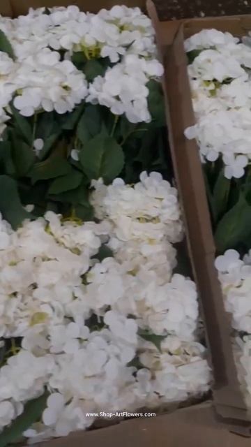 НОВОЕ ПОСТУПЛЕНИЕ 