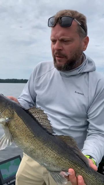 Как ПРАВИЛЬНО отпустить рыбу 😁 #shorts #лодка #fishing #fishingshi смотреть онлайн