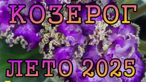 КОЗЕРОГ таро прогноз на ЛЕТО 2025 года (июнь, июль, август).