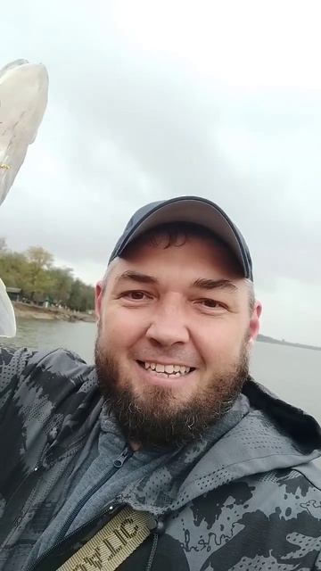 Козловские рулят💪💪💪 #рыбалка #fishing #fishingholiday #carpfishing смотреть онлайн