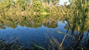 Сарпинский остров.поход и рыбалка на острове