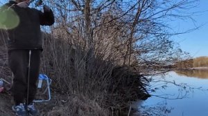 Первая серия. Рыбалка на Десне под Киевом. 26.03.2025. Плотв