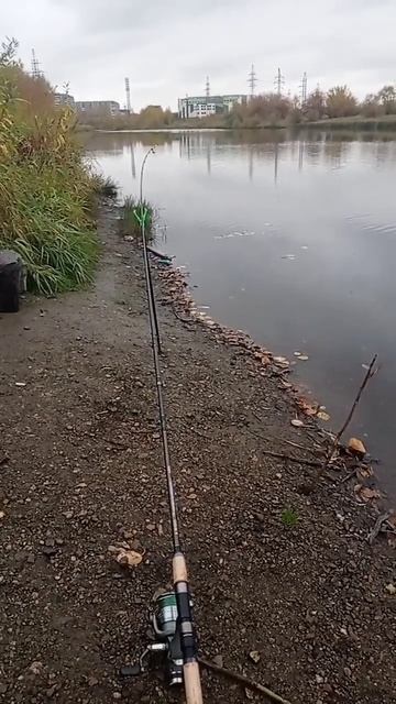 песня на берегу).... #рыбалка #песня смотреть онлайн