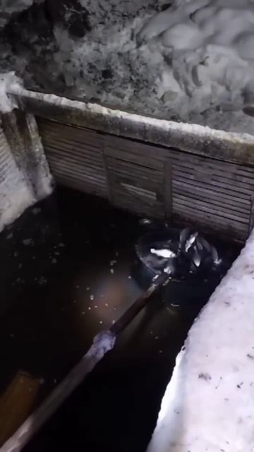 Что за рыба водится? #рыбалка #тайга #fishing смотреть онлайн