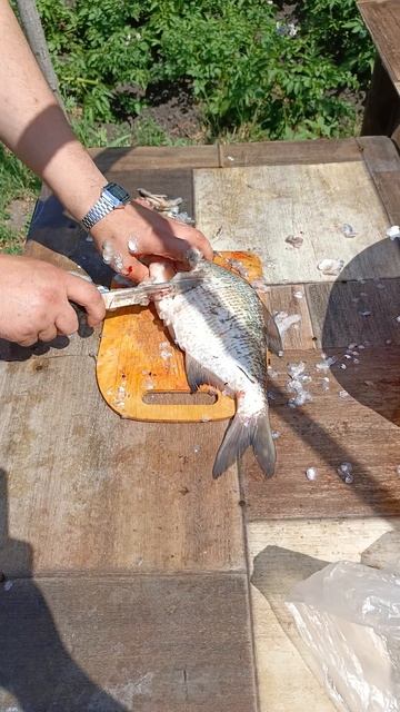 #fishing #рыболовная #рыбалка #рыбалкавидео #природа #лето смотреть онлайн