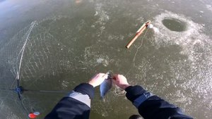 За 40 минут тазик рыбы рыбалку на хапугу в Корее #рыбалк