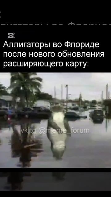 #рек#ff#gta#рекомендации ю#хочуврек#роблокс#россия#мем#ме смотреть онлайн