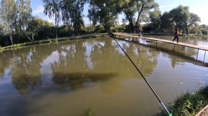 Рыбалка на Столбовой. КАРП и ЛИНЬ на поплавок и фидер!