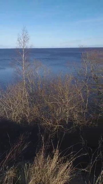 Озеро Ильмень смотреть онлайн