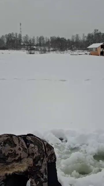 Главное не поймать форель! А удержать ее! смотреть онлайн