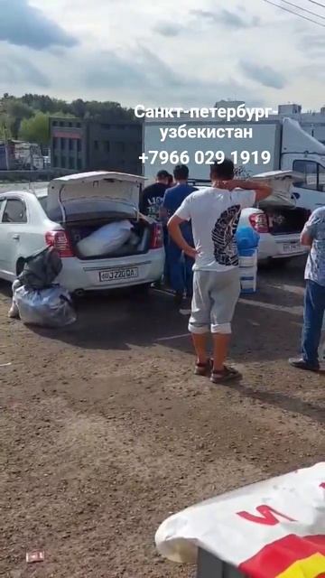 санкт-петербург-узбекистан такси москва-ташкент такс? смотреть онлайн