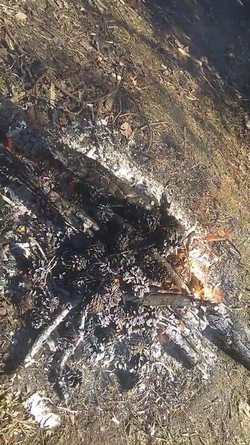 Здравствуйте!