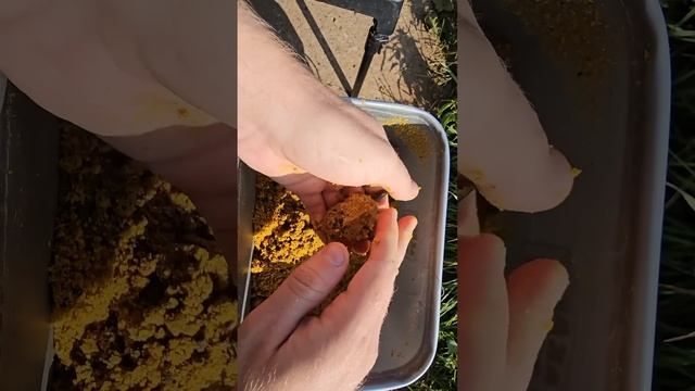 Рыбалка на флэт фидер #флэтфидер #fishing #рыбалканафидер смотреть онлайн