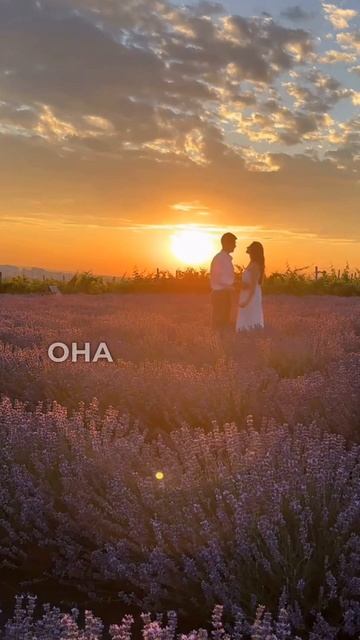 Почему нужно жениться на женщине-Стрельце?#совместимо