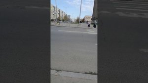 Погода в Санкт-Петербурге в районе пр Большевиков
14.05.2025