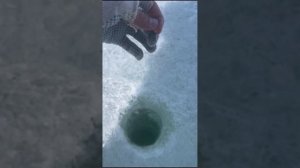 Закрытие зимнего сезона рыбалки на озере Аслыкуль!🎣 ?