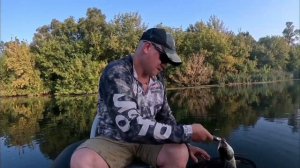 Вечерняя рыбалка на жереха. ловля жереха на мелководь?