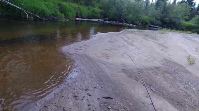 ТАКОГО ХАРИУСА Я УЖЕ ДАВНО НЕ ЛОВИЛ! УТРО В ТАЙГЕ / ЖИВЁ смотреть онлайн