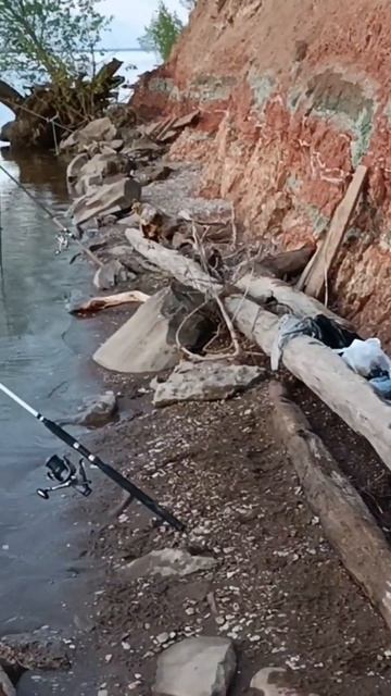 Хорошо на берегу Волги.11 мая 2023 г. смотреть онлайн