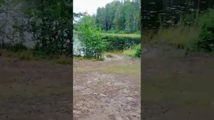 Рыбалка в Ленинградской области. Сяргозеро