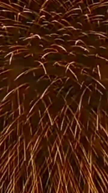 с днём рождения папа! мы тебя любим!!!! смотреть онлайн