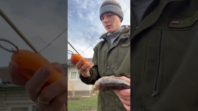 Успешная рыбалочка  рыбалканареке fishing донка