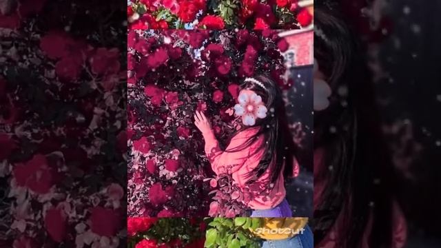 #сапани цыганская песня смотреть онлайн