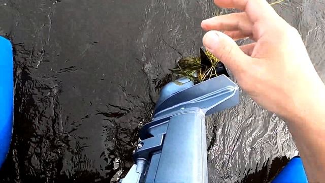 "ТОТ САМЫЙ" день для РЫБАЛКИ😁(Кубенское озеро) смотреть онлайн