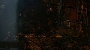 Ночное древо