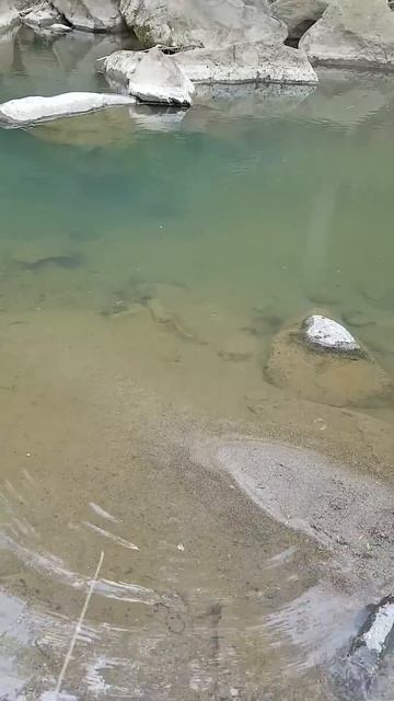 Уссурийская тайга, верховья горных рек, рыбалка. 우수리 смотреть онлайн