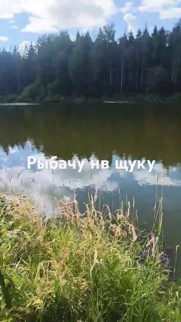 Рыбачу на щуку#рыбалка#ловля#спиннинг. смотреть онлайн