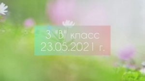 3В класс. Гимназия N9. Окончание года. 2021 г.