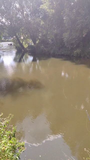 #Природа, Село Гатное, #Озеро Доброго Дуба, Удочка и Поп смотреть онлайн