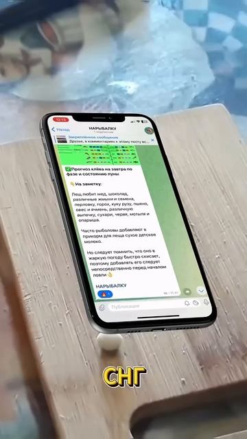 Насадка из Германии для крупной рыбы #рыболовная #реце смотреть онлайн