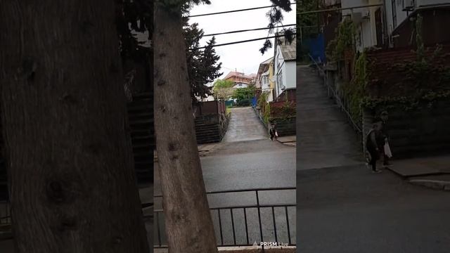 Прямая трансляция Лазаревское. Жизнь на море. 20 апреля смотреть онлайн